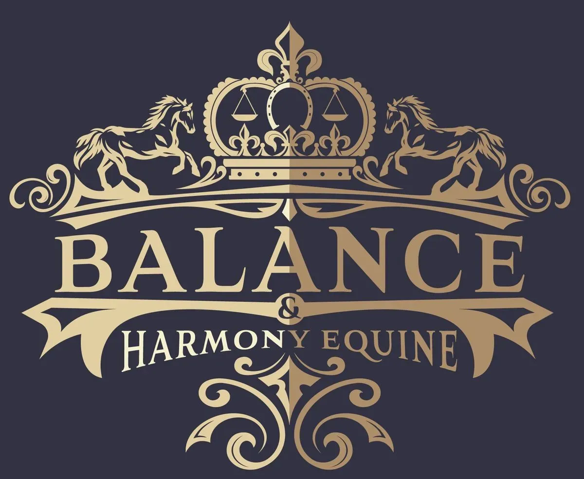 Balance & Harmony Equine  logo