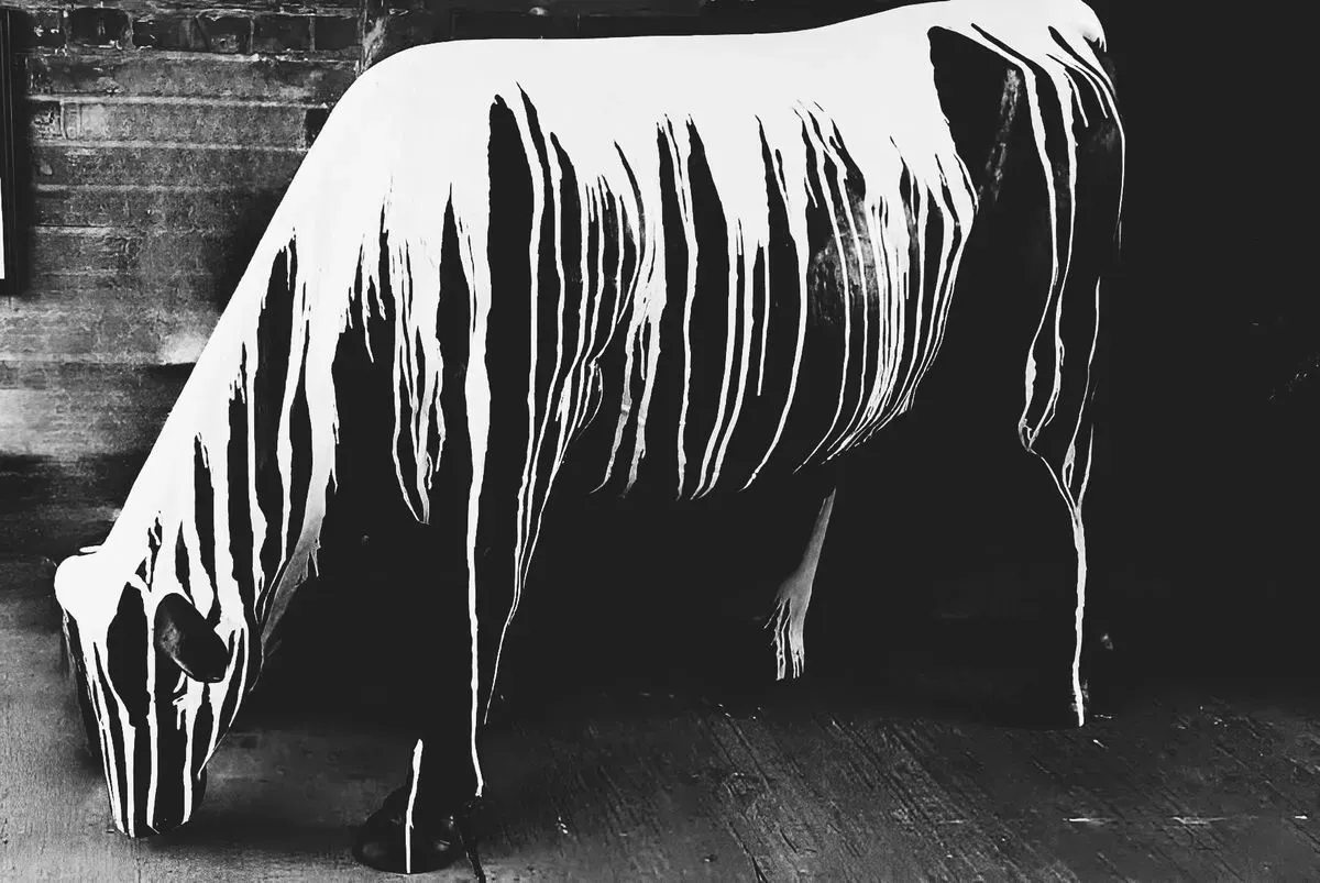 Descriptive text for the image