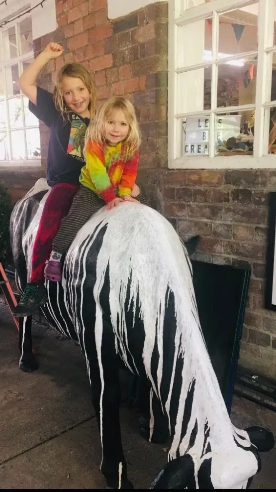 Descriptive text for the image