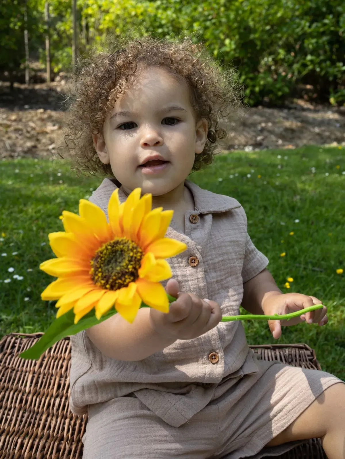 Descriptive text for the image