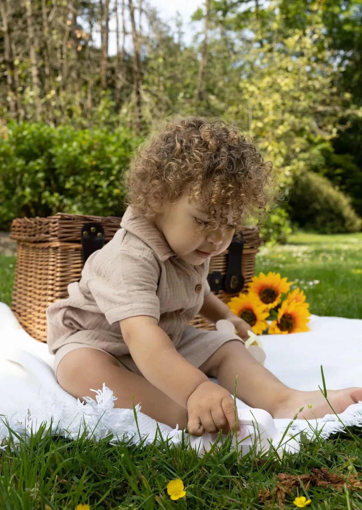 Descriptive text for the image