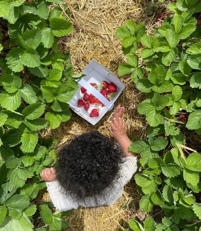 Descriptive text for the image