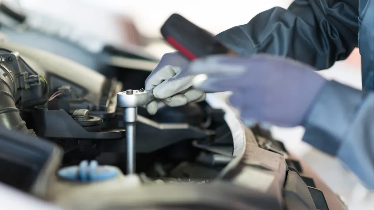 Descriptive text for the image