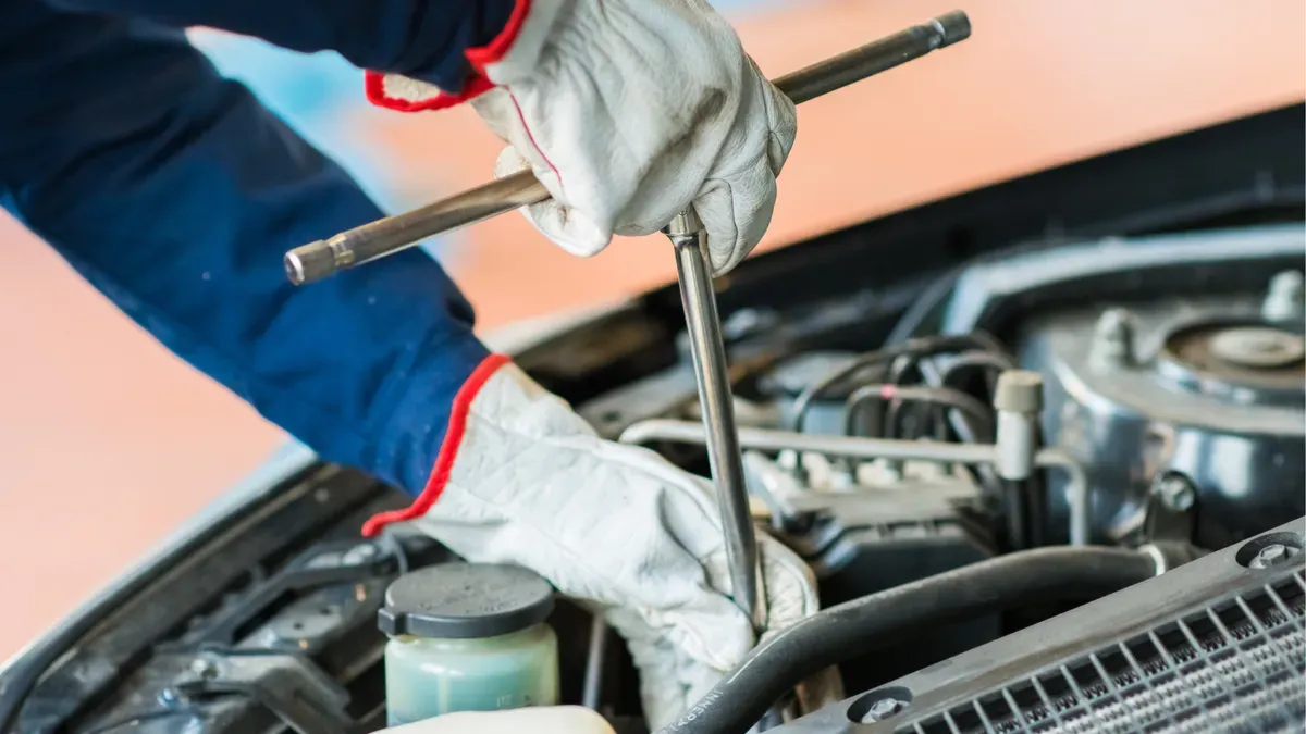 Descriptive text for the image