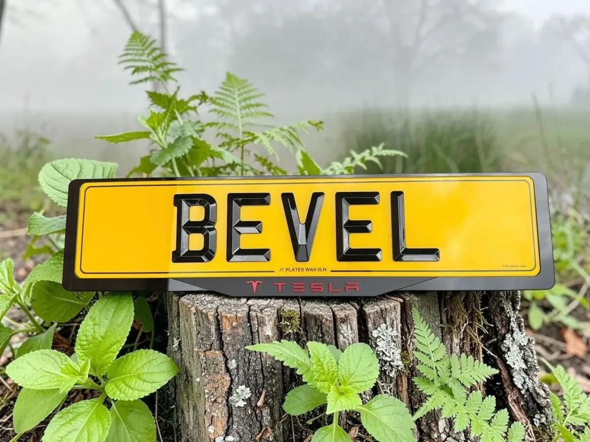  Standard plate featuring bevel lettering, set on a vibrant teal background