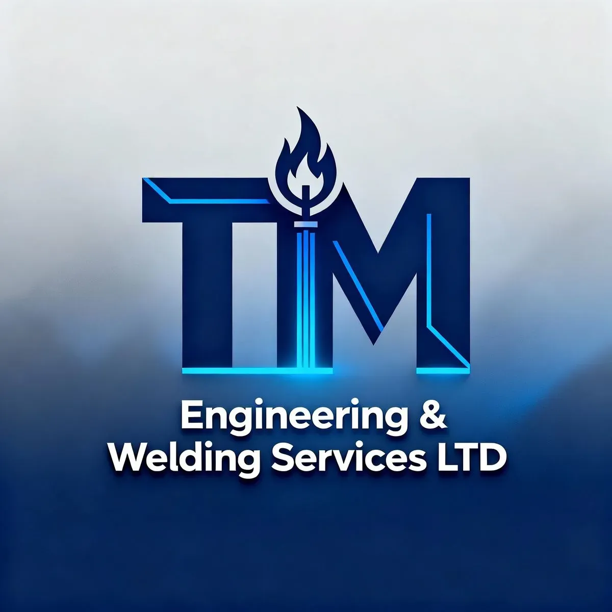 TM engineering and welding services Ltd logo