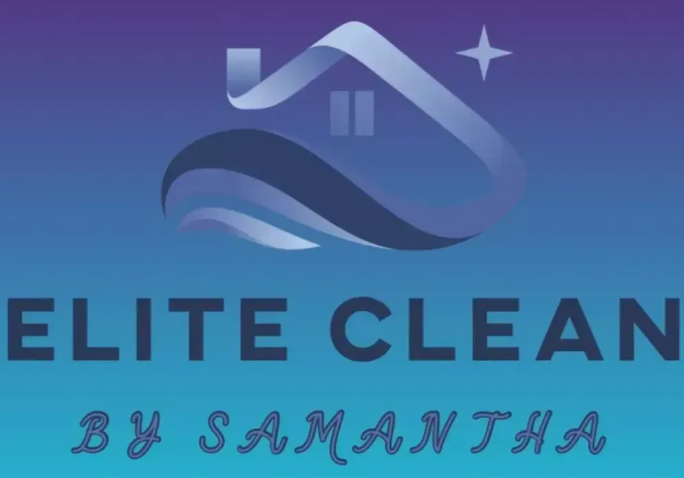 Elite Clean logo