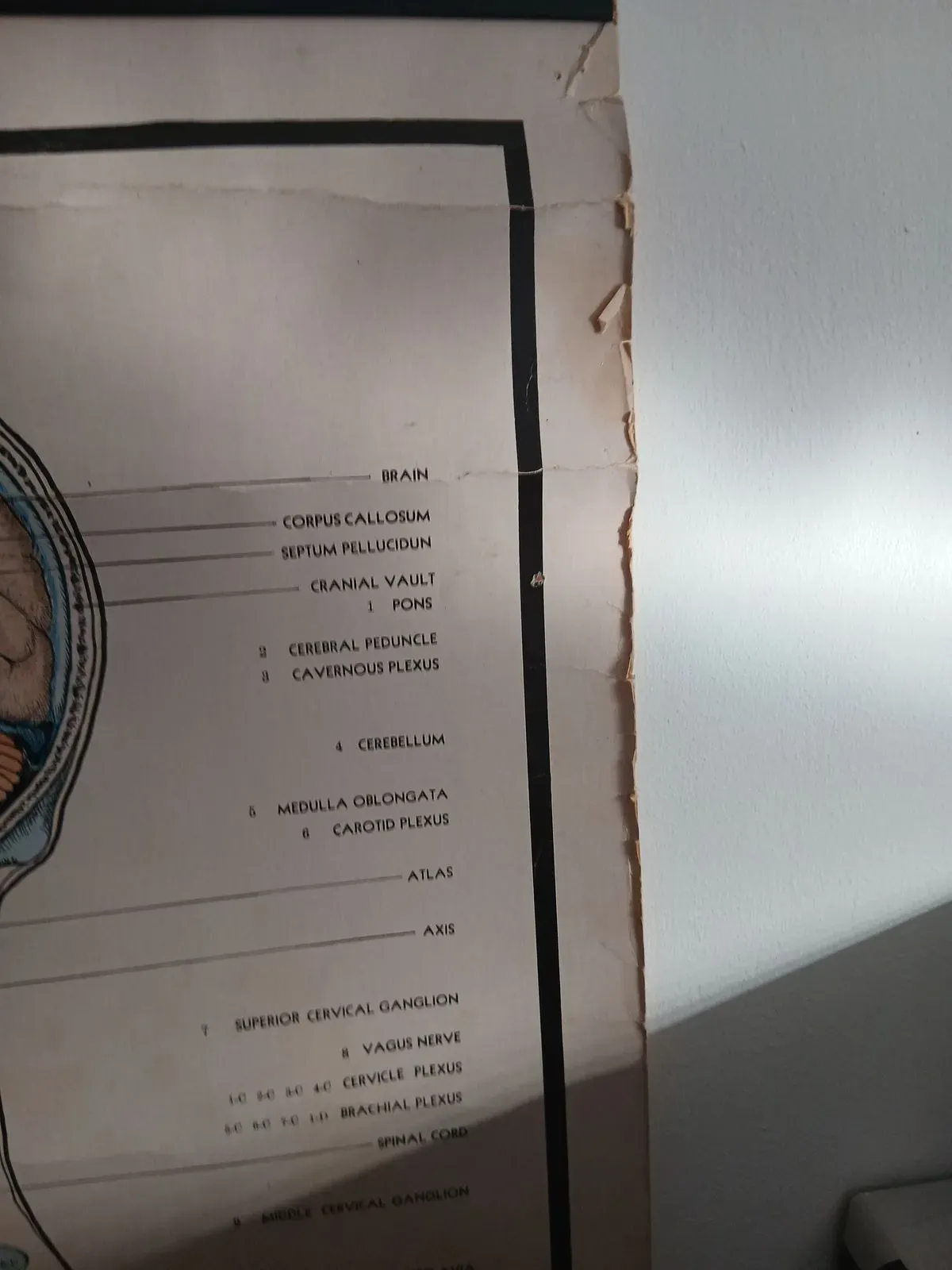 undefined thumbnail image