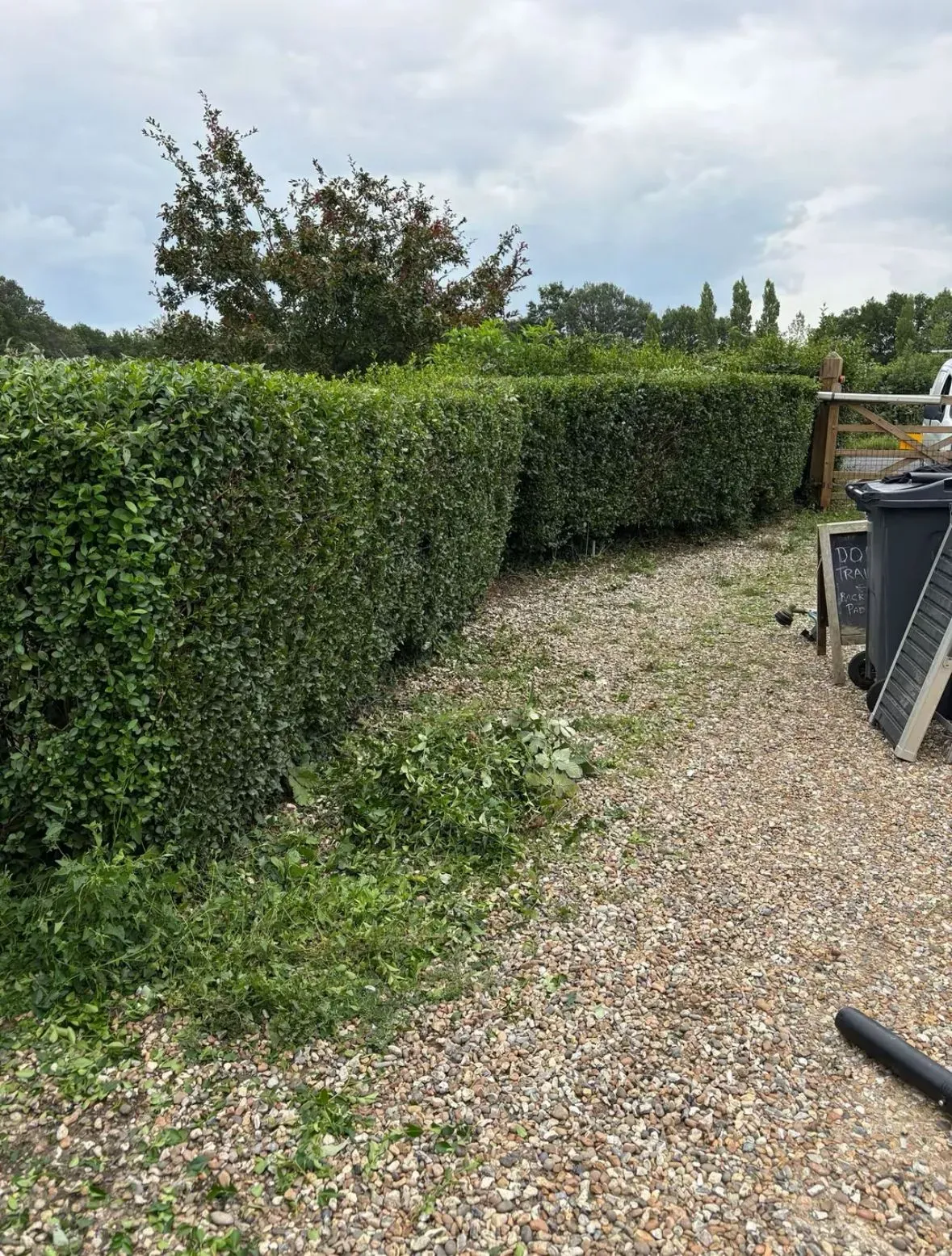 Hedge trimming image background image