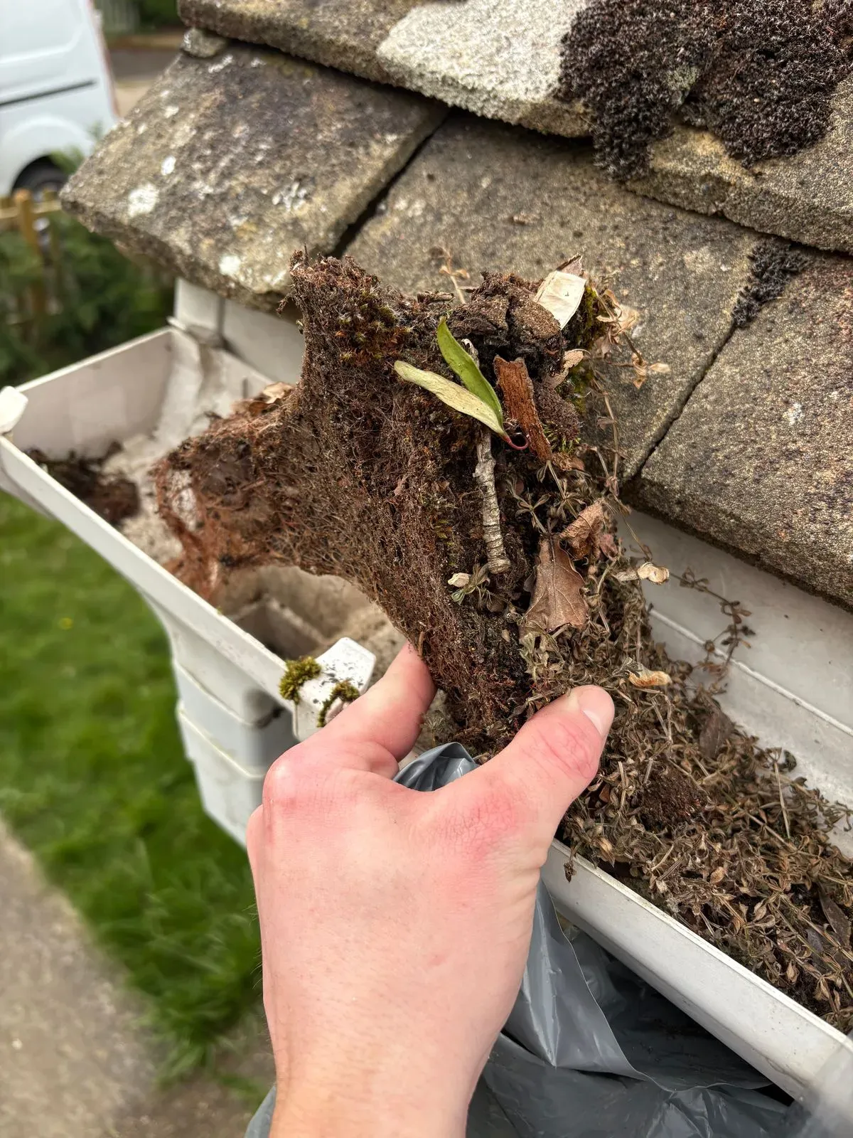 Gutter clearance image background image