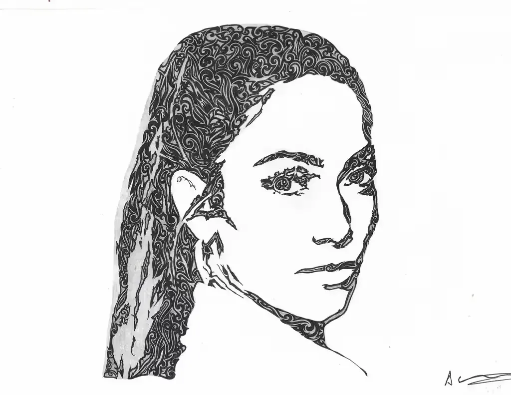 Descriptive text for the image