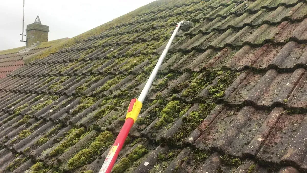 Roof Scraping image background image