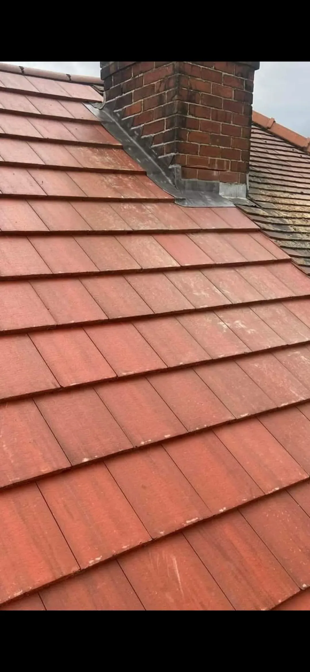 Gallery image 8