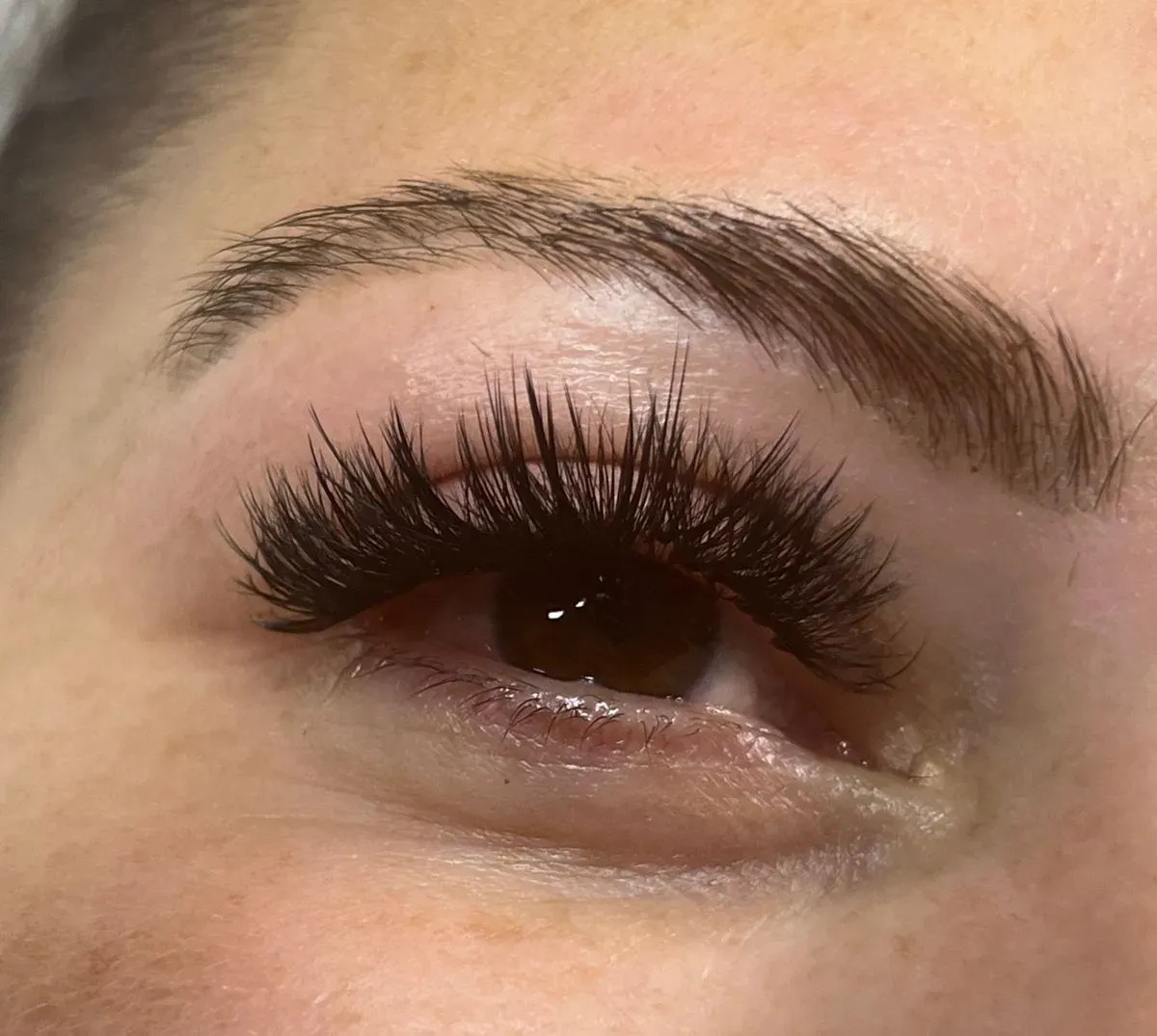 Lash and Brow Maintenance image