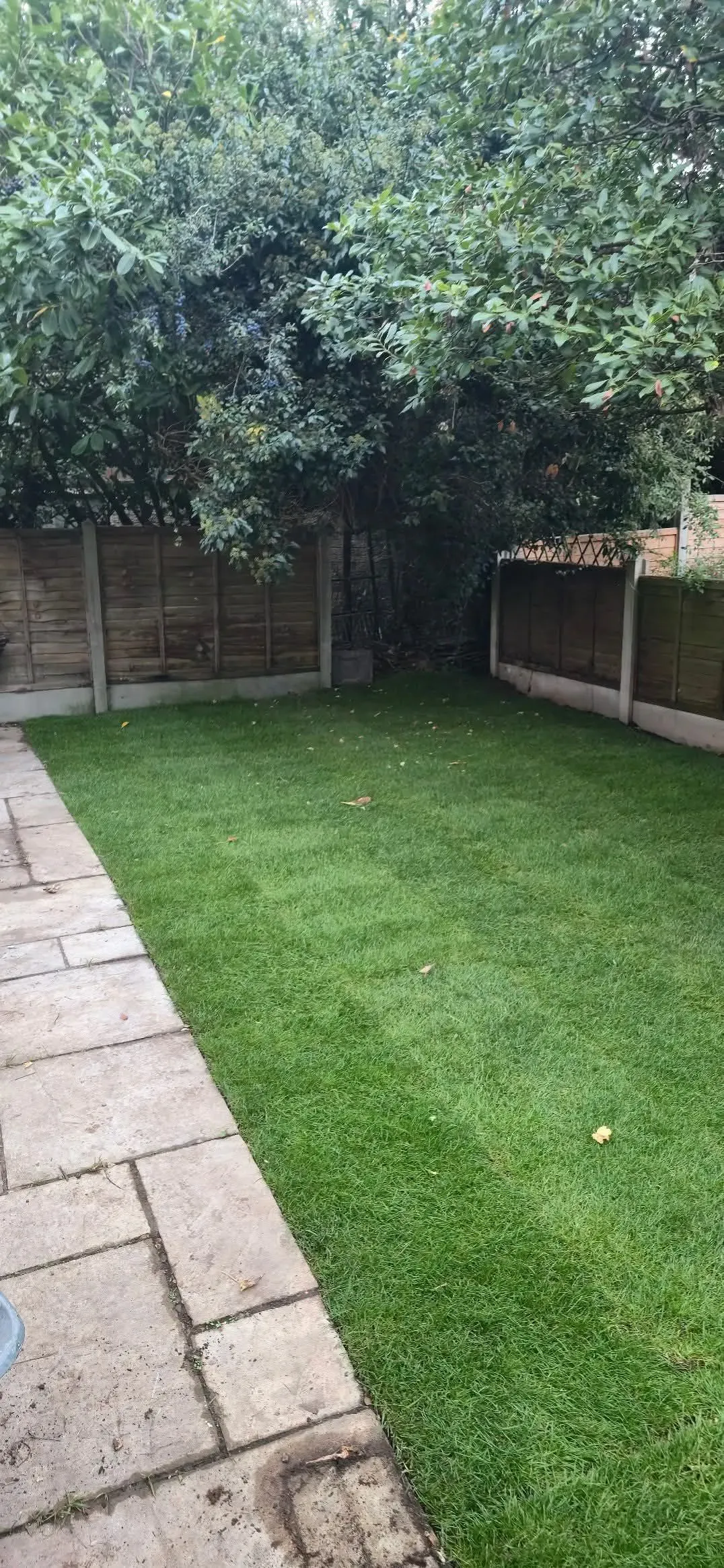 Lawn Installation image background image