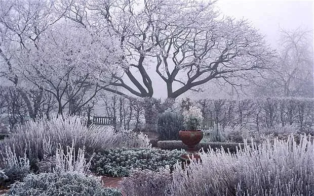 <h2>Seasonal garden maintenance</h2> image