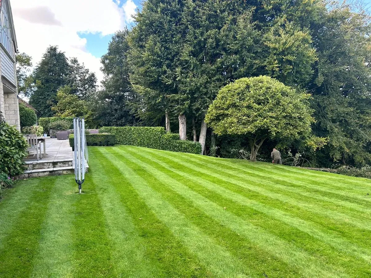 <h3><span style="color:white">Lawn mowing</span></h3> image background image
