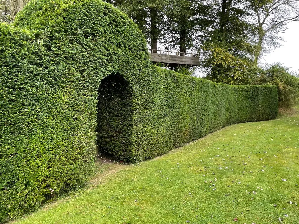 <h3><span style="color:white">Hedge trimming</span></h3> image background image
