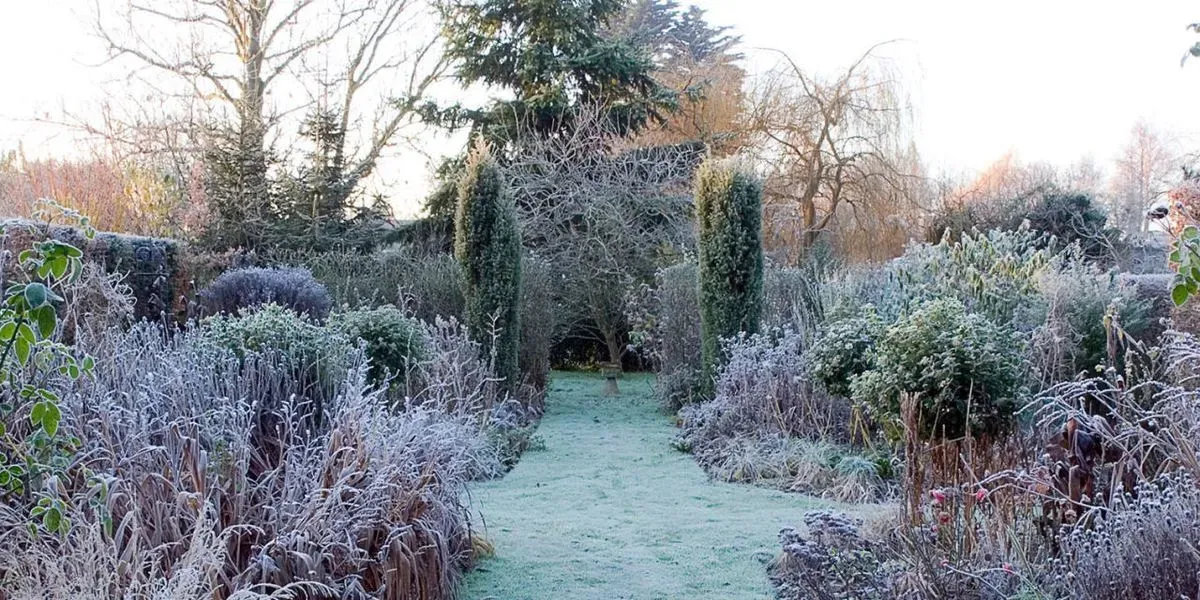 <h3><span style="color:white">Seasonal garden maintenance</span></h3> image background image
