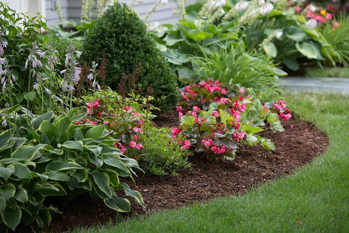 <h3><span style="color:white">Mulching</span></h3> image background image