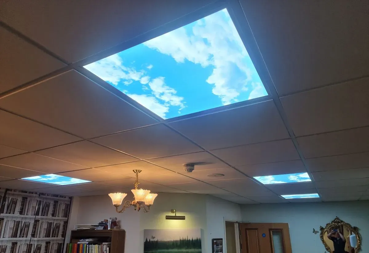 Beautiful 'Sky-Panels' installed instead of traditional lights