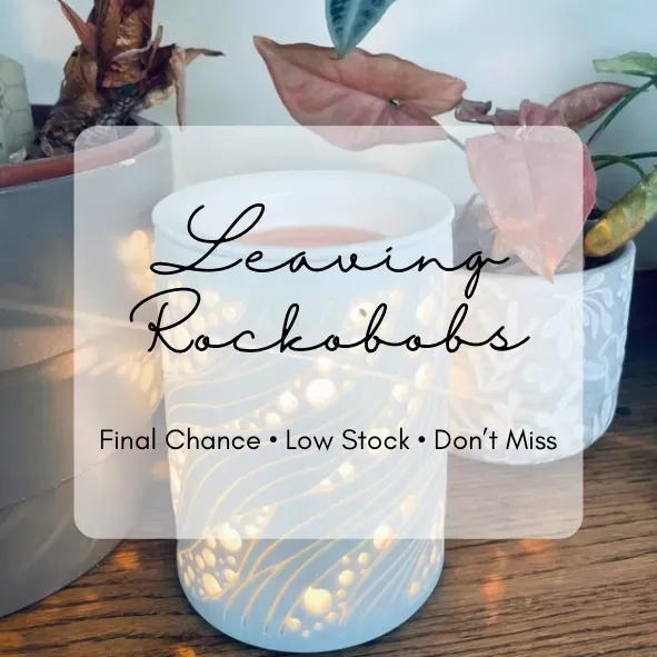 8222807587059-7rpa775cwcb2bhv4esskpv-Copy-of-what-s-new-PNG collection background image