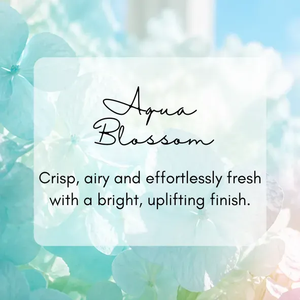 8222978295899-tea9ynx57fqmhdqlexm4lq-Copy-of-Tahitian-Cove-Star-PNG thumbnail image