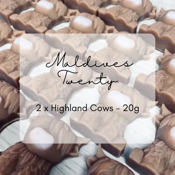 8223562057085-qnvkdv5dbq2p87mlp396o-Maldives-Twenty-PNG thumbnail image