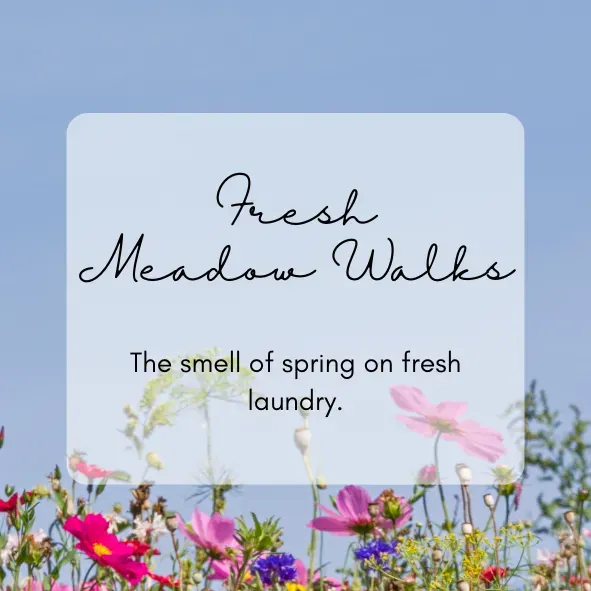 8224423683926-s155kws0fwsb0yyndsdhp-Copy-of-Classic-Washing-Powder-PNG thumbnail image