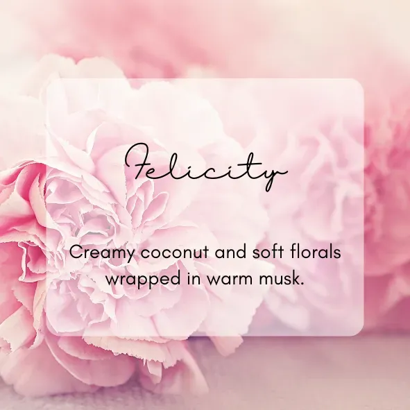 8224423771472-6qxemrbs0ia19aw7zir7p2-Felicity-PNG thumbnail image