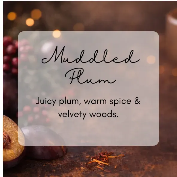 8224929724186-vk5fp7vzeesn3qmonggbp-muddled-plum-PNG thumbnail image