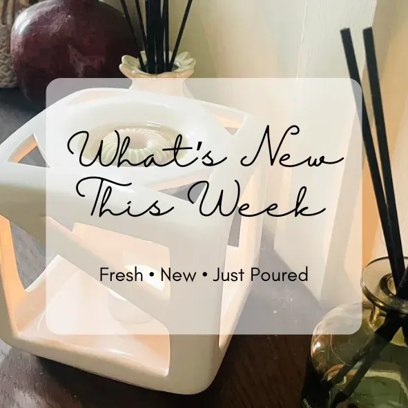 8226400315052-9ojmpzkh4wccmkzk7lotaf-what-s-new-PNG collection background image