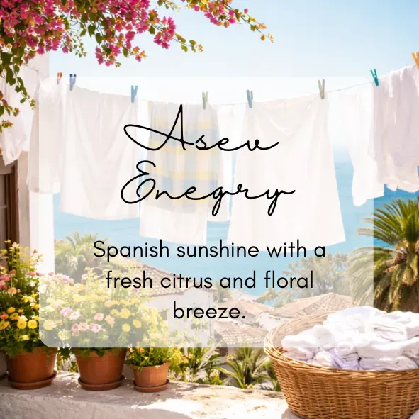 8226491888446-1wf7zmgdviz3ydodarjmag-asev-energy-PNG thumbnail image