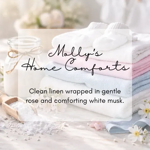 8228028814525-gpm947ny8fofm1j19rvu9-Molly-s-Home-Comforts-PNG thumbnail image