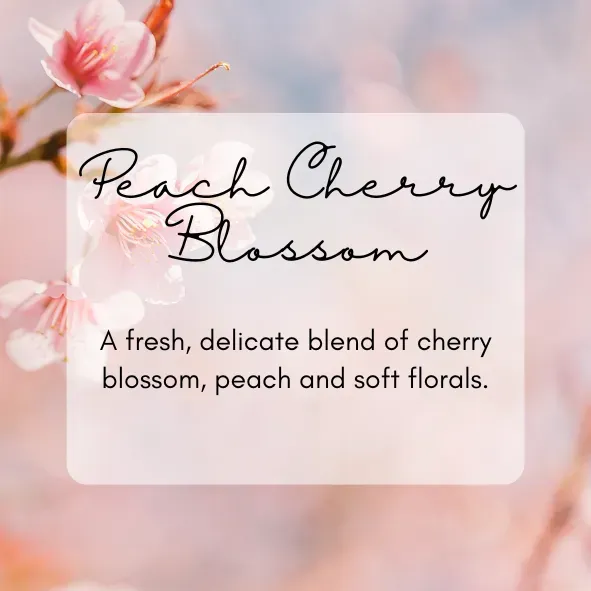 8228041823430-wbuqx2usslrthif1hp524g-PEACH-CHERRY-BLOSSOM-PNG thumbnail image