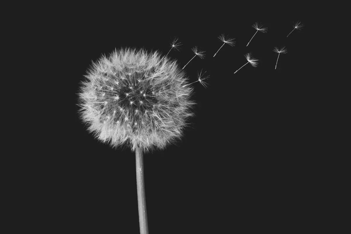 Advanced Hypnotherapy image