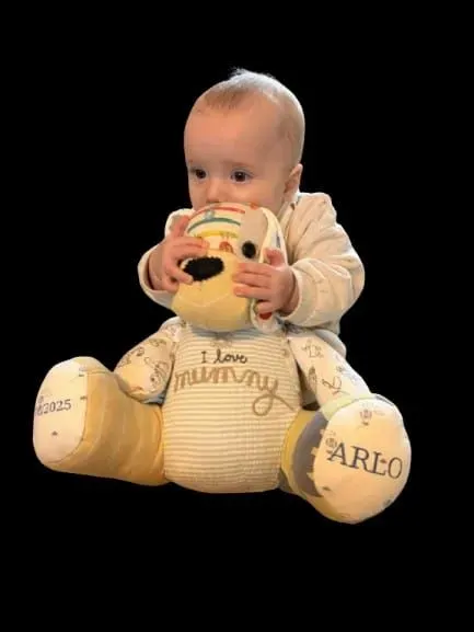 8225710790860-8lpwhxwvv56x3fatb54b9r-Arlo1 collection background image