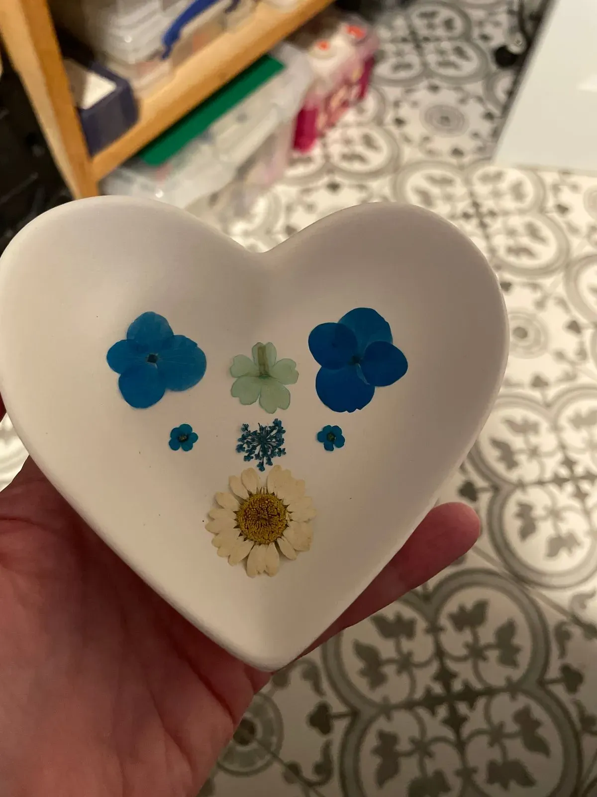 8217059193865-mym9qw0vcboeg3jkqtmvos-IMG-2476 collection background image