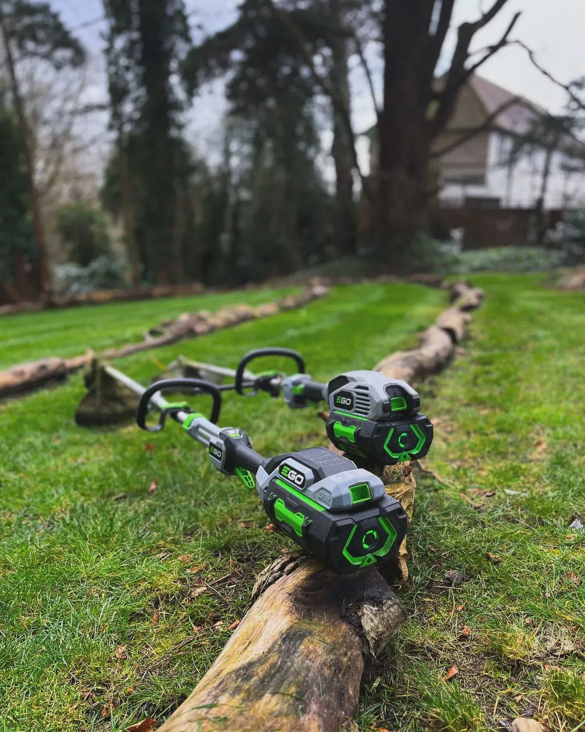 Descriptive text for the image