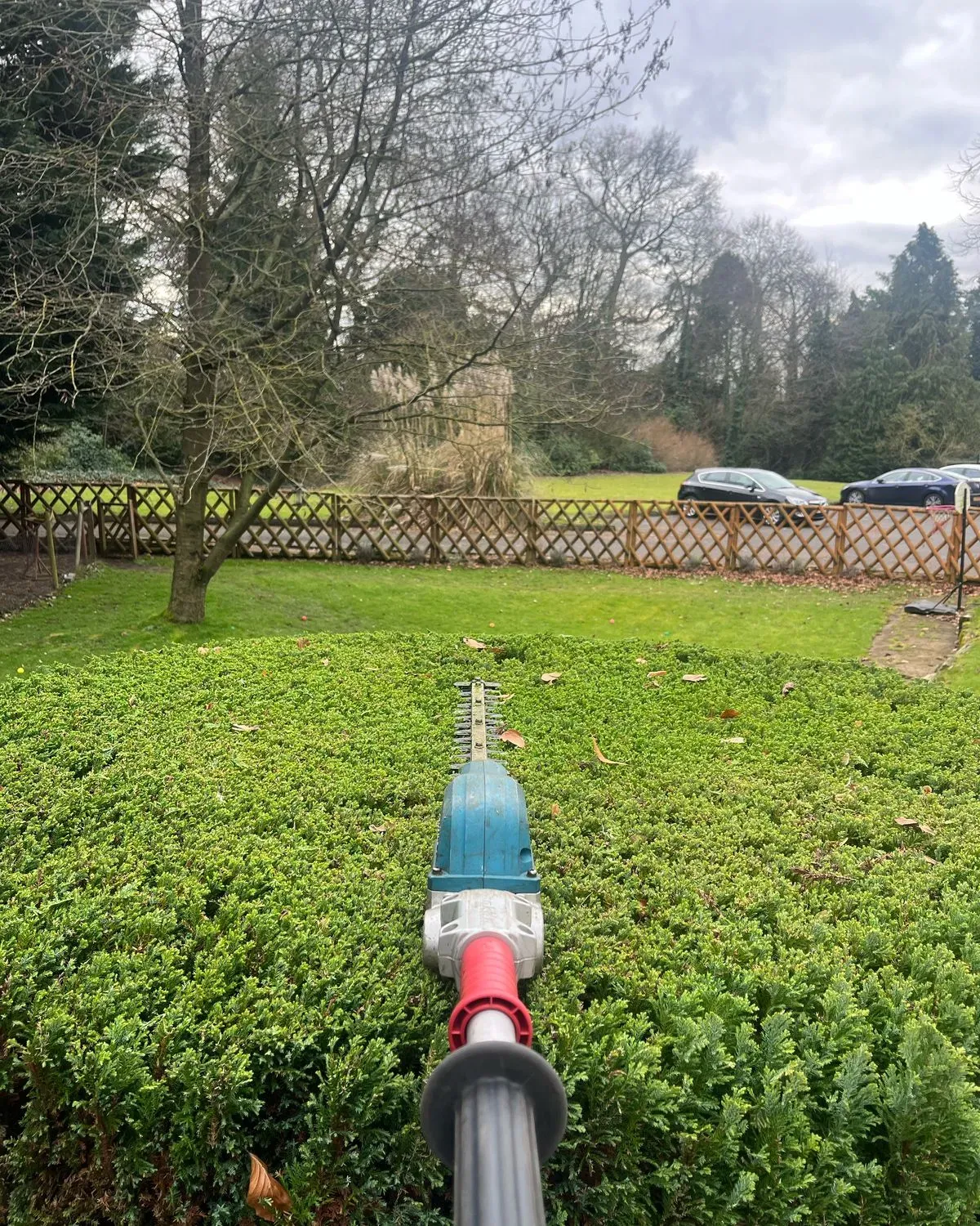 Descriptive text for the image