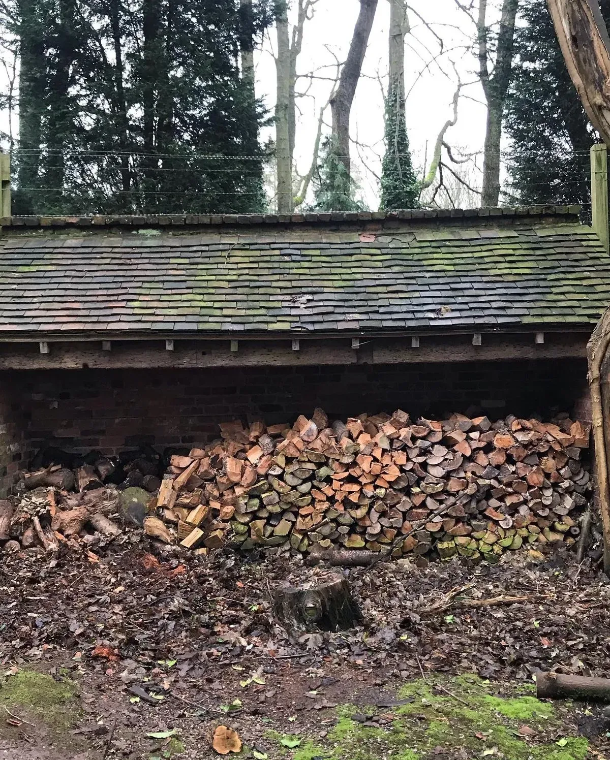 Descriptive text for the image