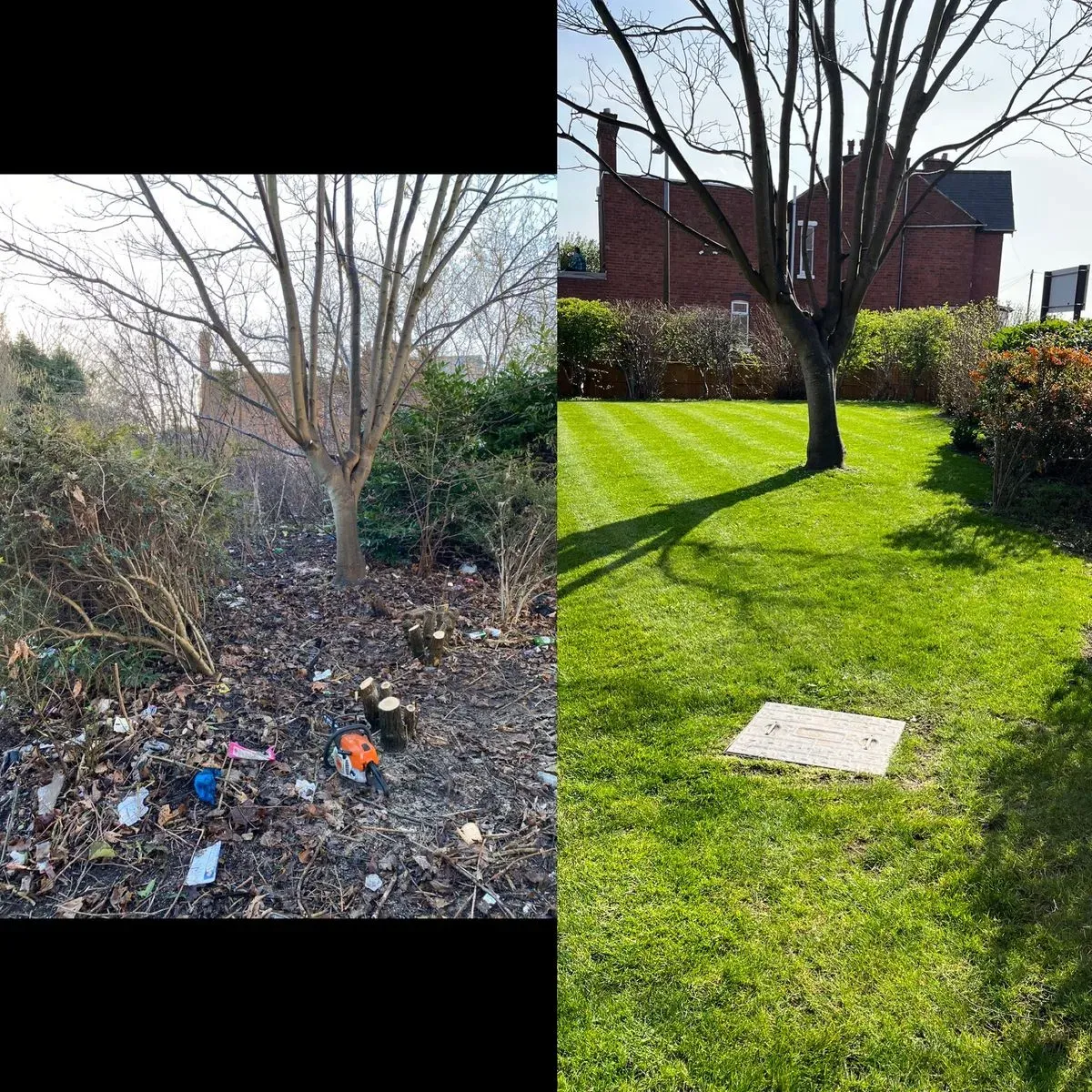 Descriptive text for the image