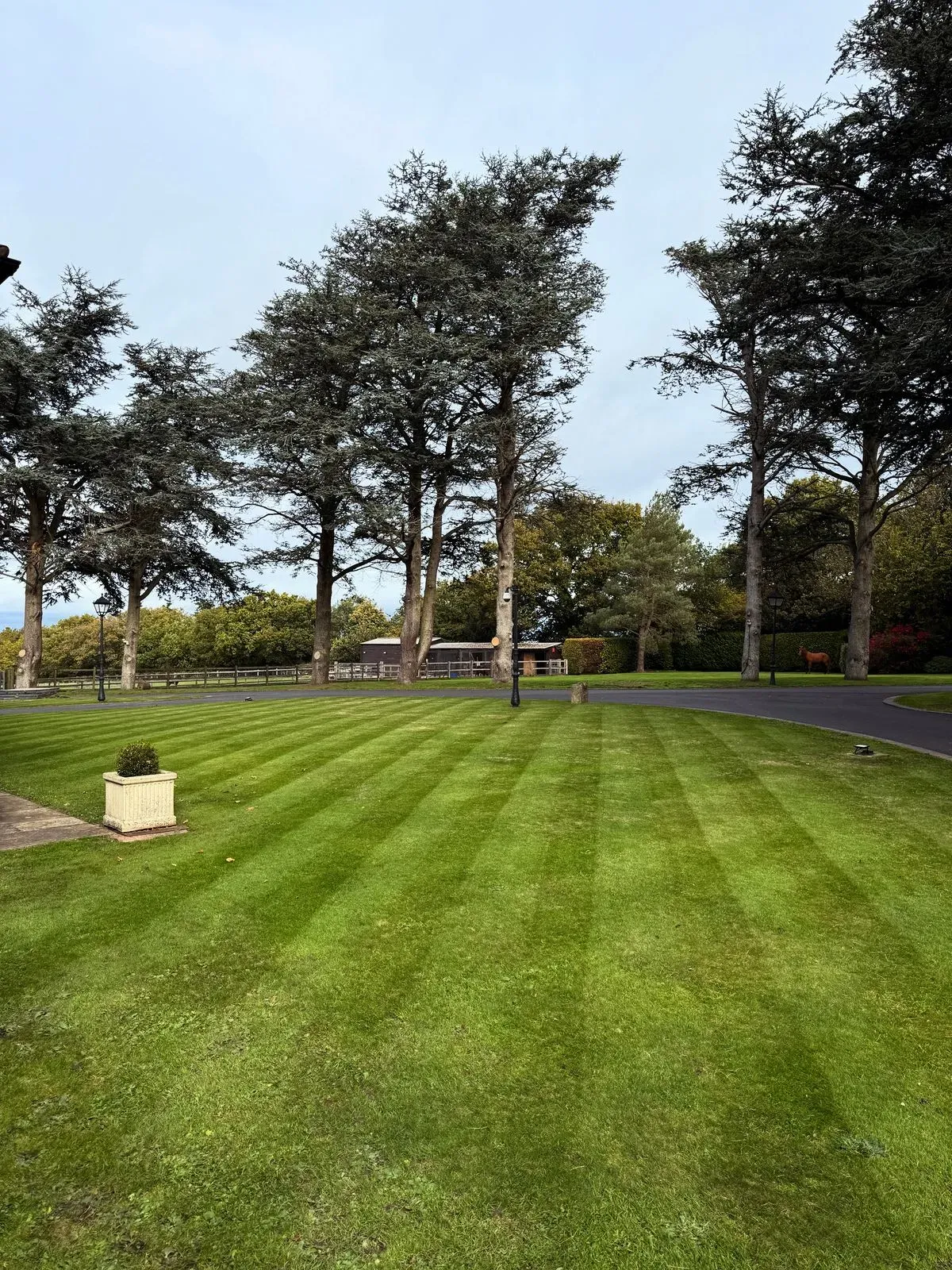 Descriptive text for the image