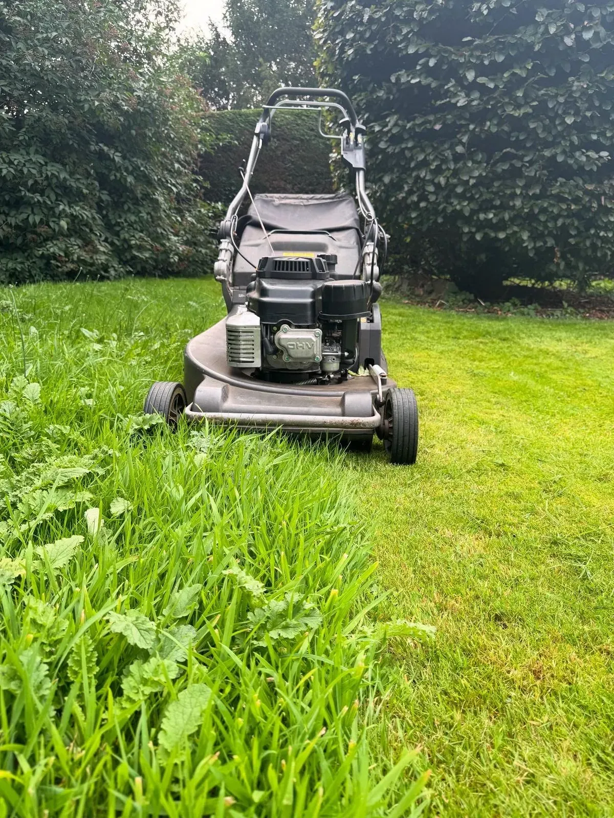 Descriptive text for the image