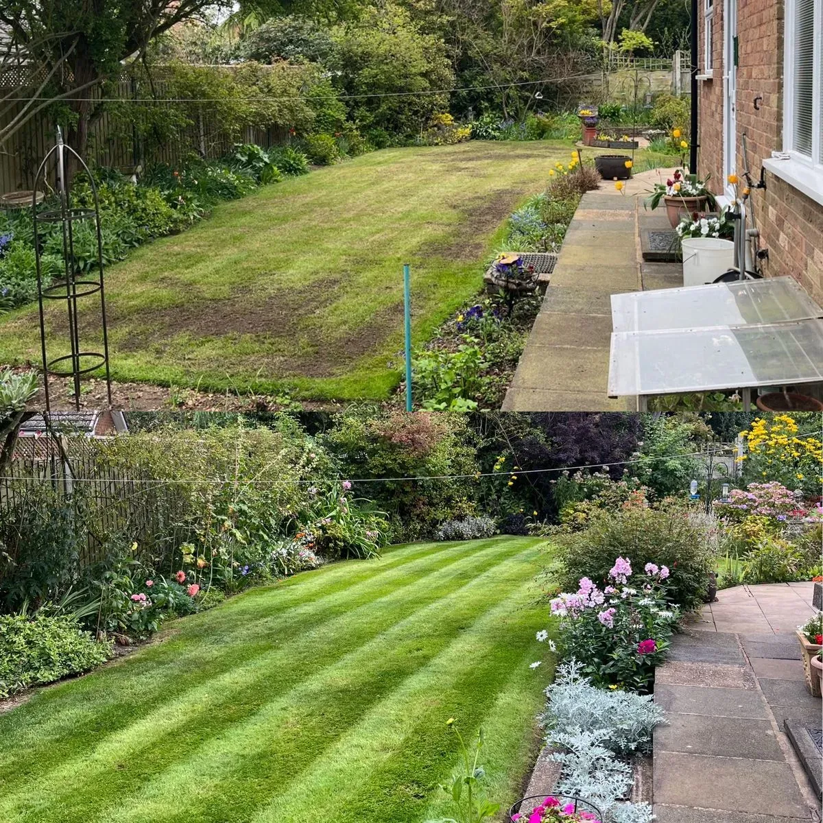 Planting and transplanting image background image