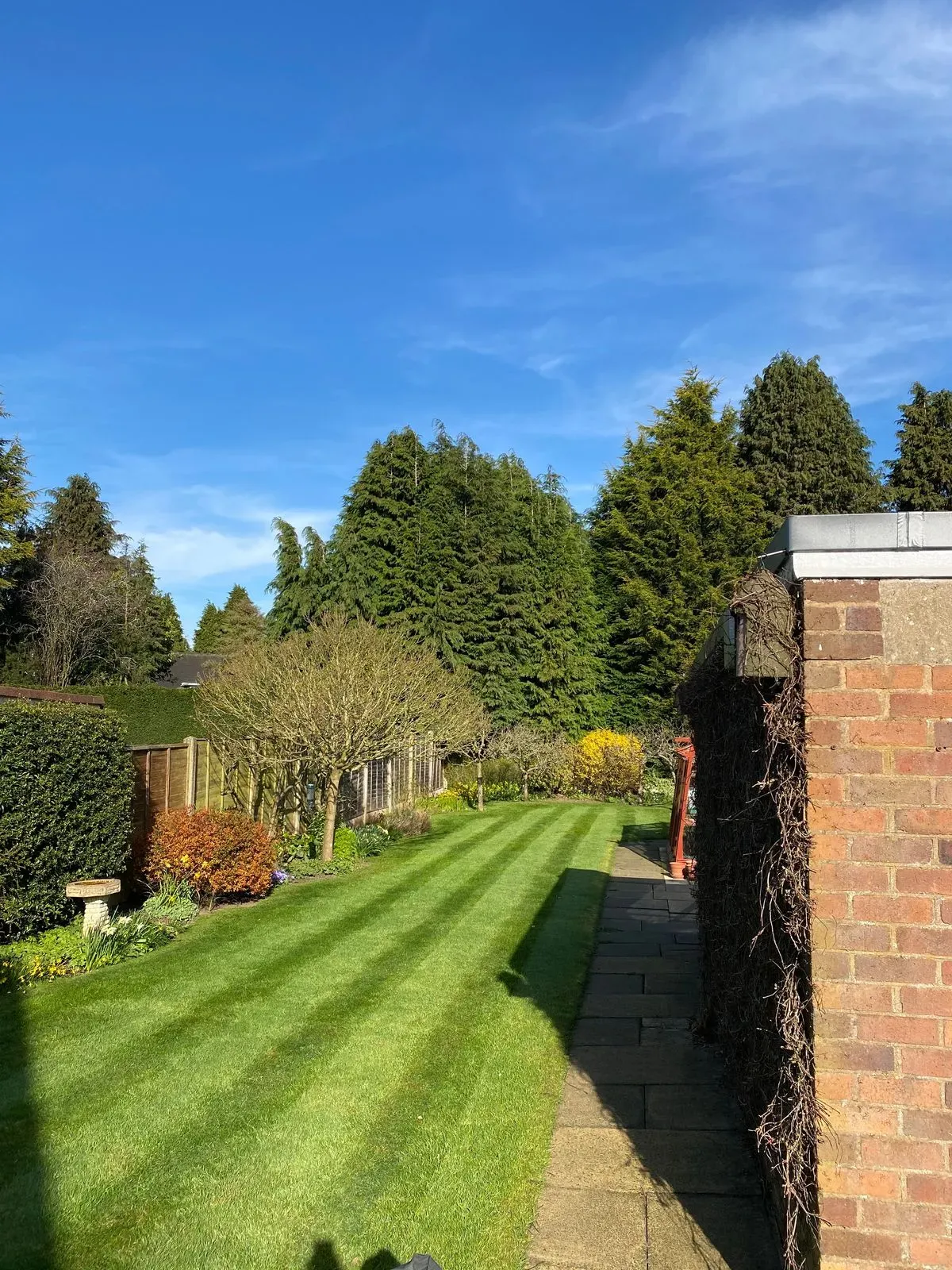 Descriptive text for the image