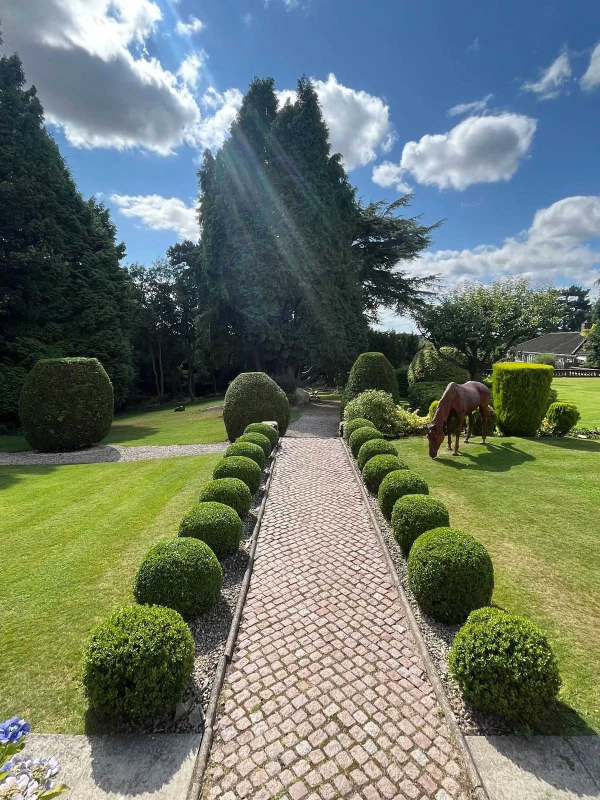 Lawn mowing image background image