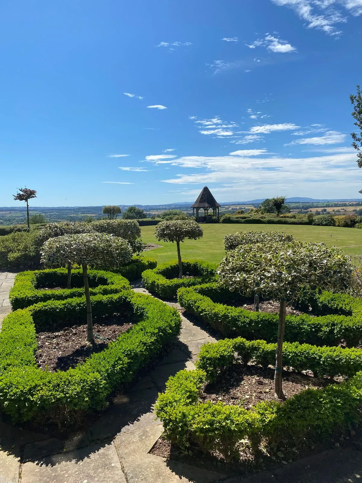 Hedge trimming image background image