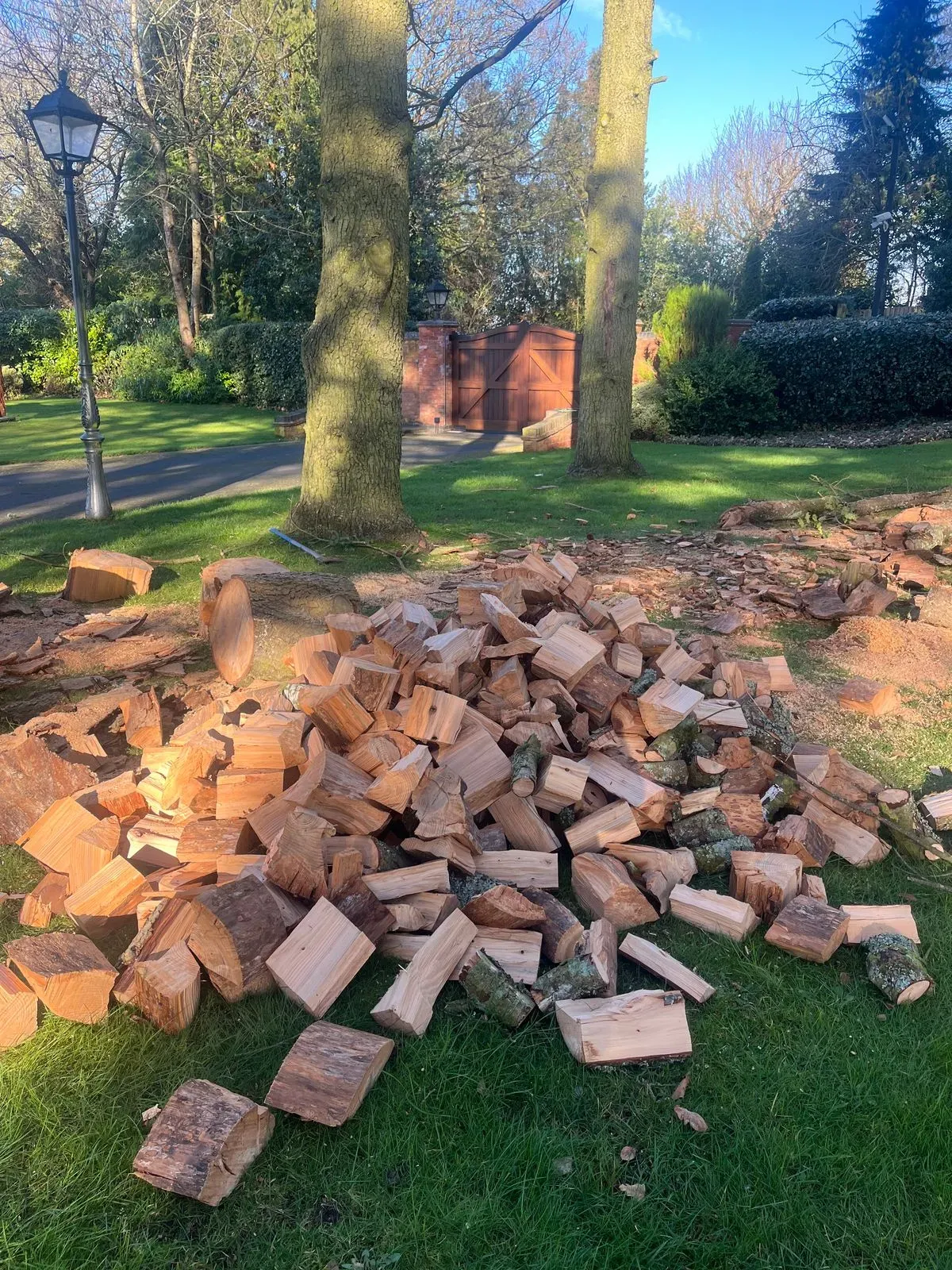 Descriptive text for the image