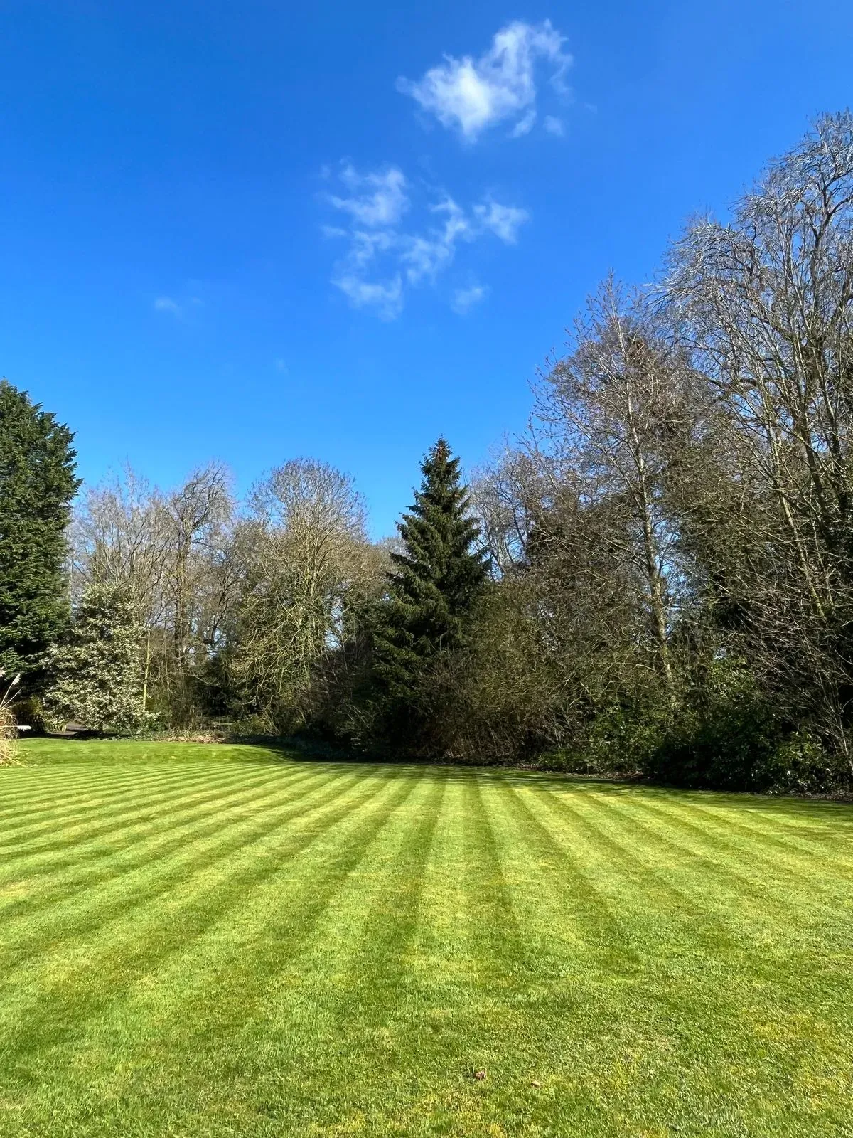 Descriptive text for the image